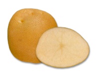 Click view for more details on this PEI Potato