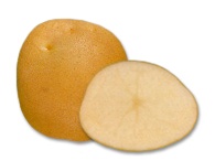 Click view for more details on this PEI Potato