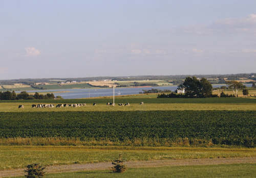 beautiful photo of Murphy�s Seed Potatoes farm view
