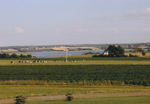 beautiful photo of Murphys Seed Potatoes farm view