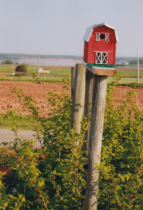 Photo of Murphys Seed Potato farm mailbox