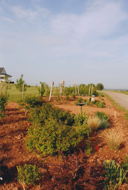 PEI island flower garden