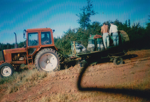 Showing how Murphy's farm dug their plots