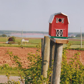 Murphy's Seed Potatoes & Grains Farm